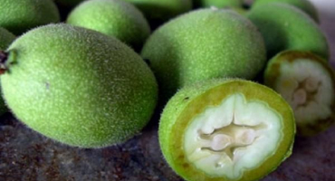 Kdy a jak správně sbírat zelené vlašské ořechy, pravidla skladování